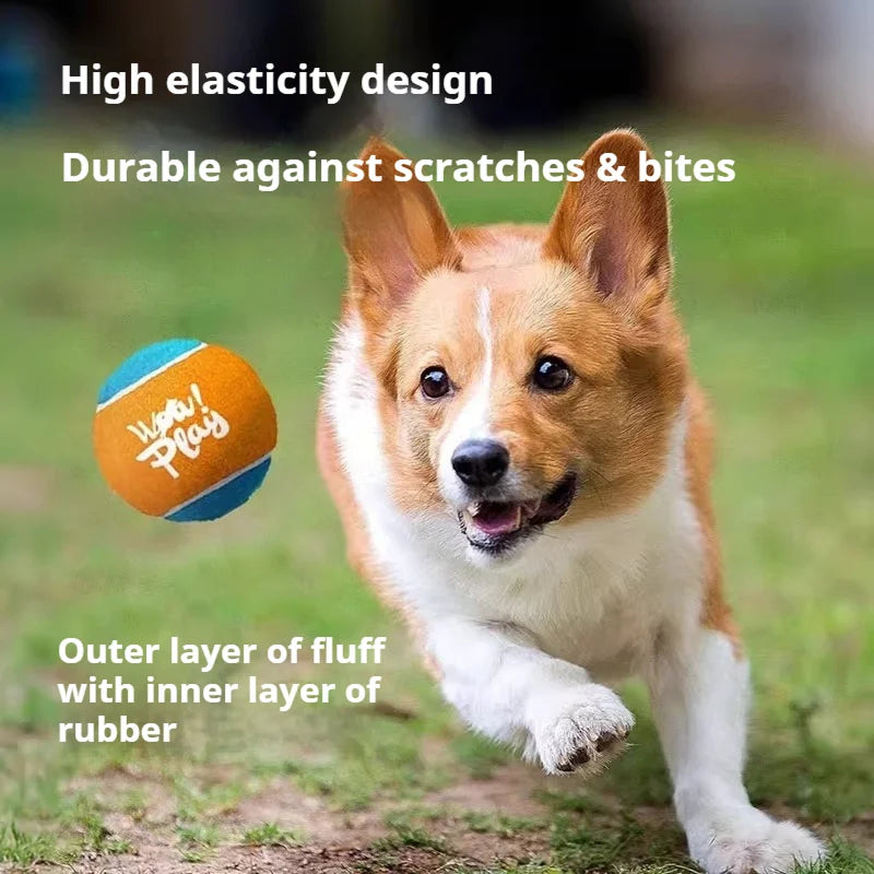FetchyPup