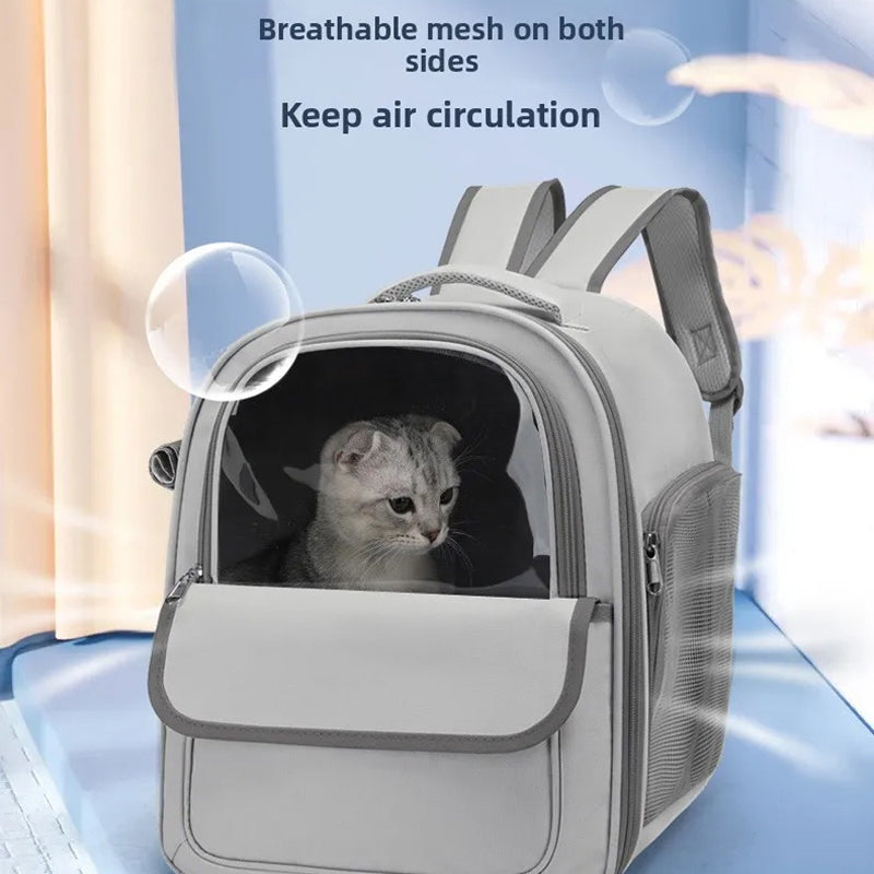 PawsieTive