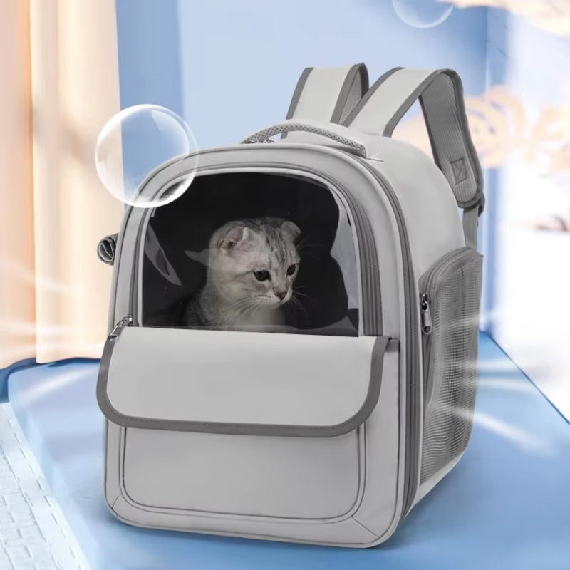PawsieTive