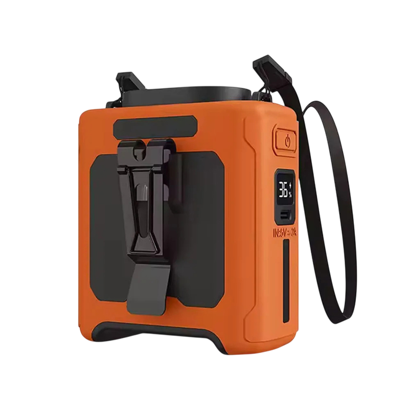 FrisKora