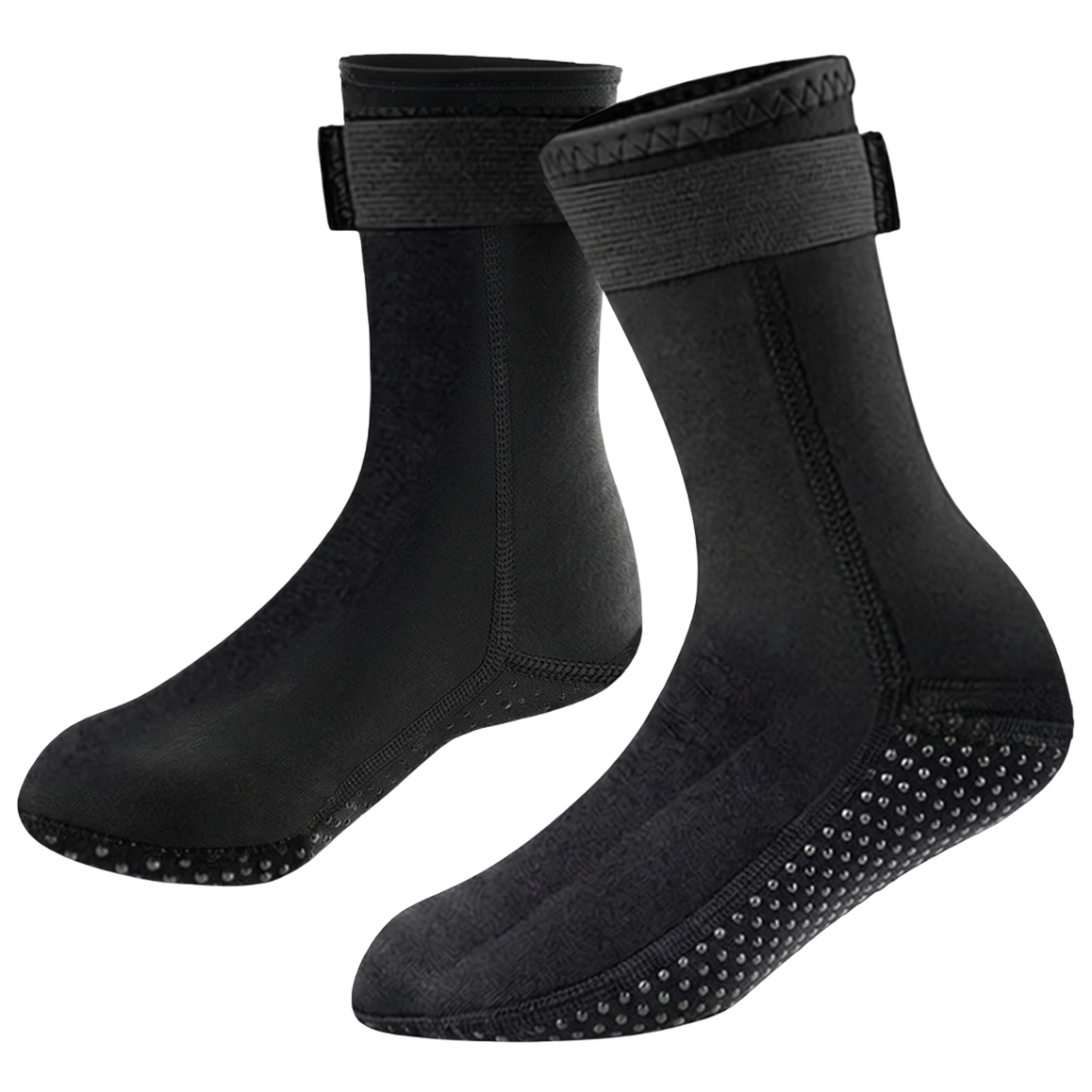 CoralStepi