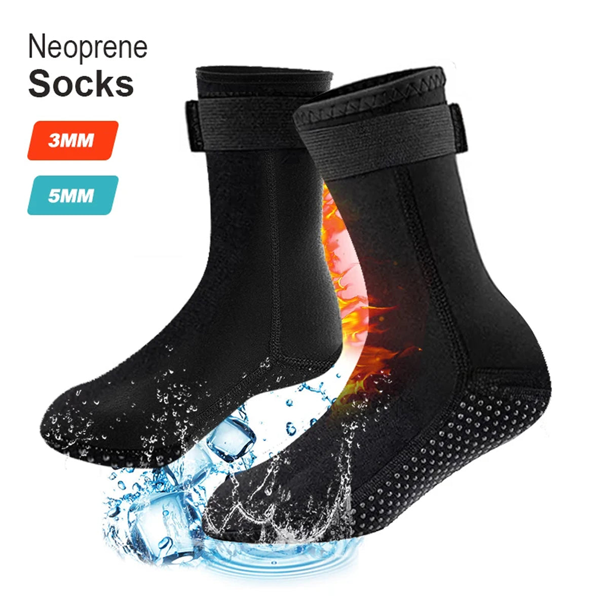 CoralStepi