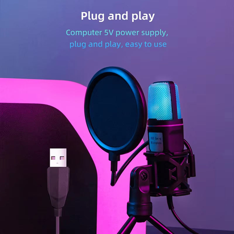 AudiVoxe