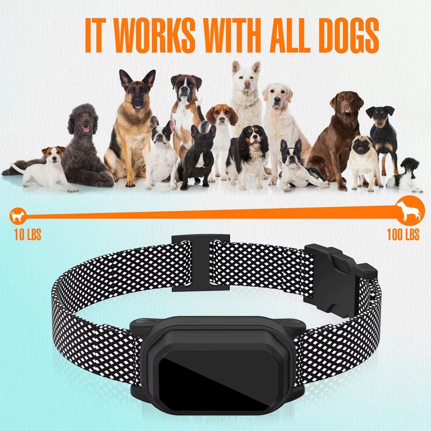BarkNav