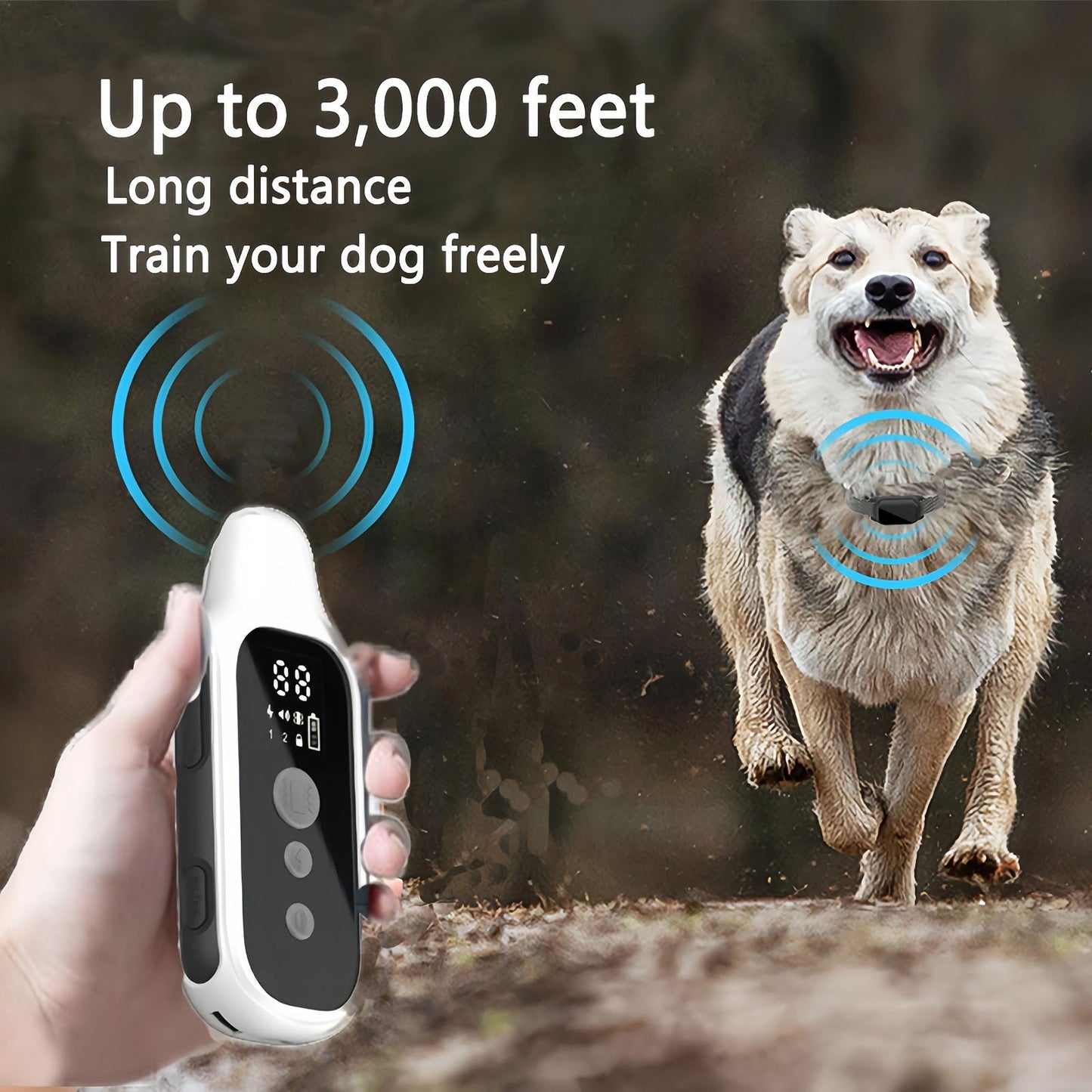 BarkNav