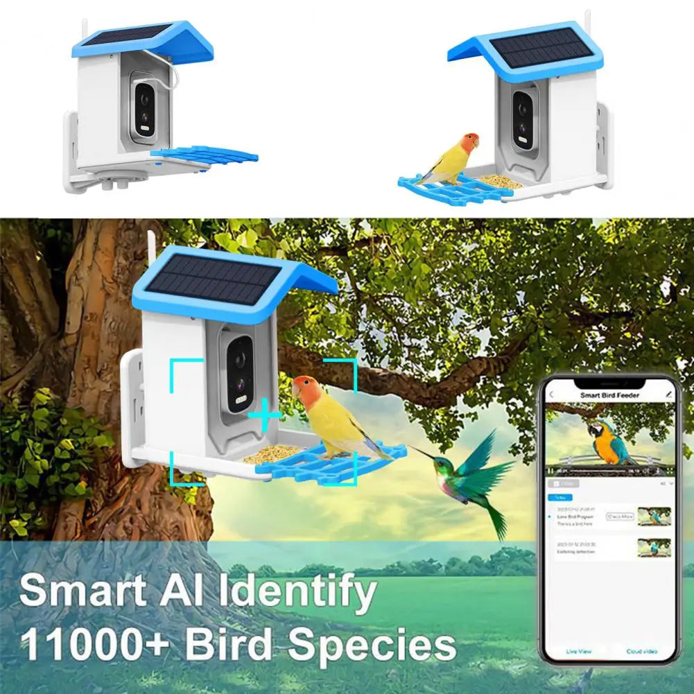 BirdiSpot