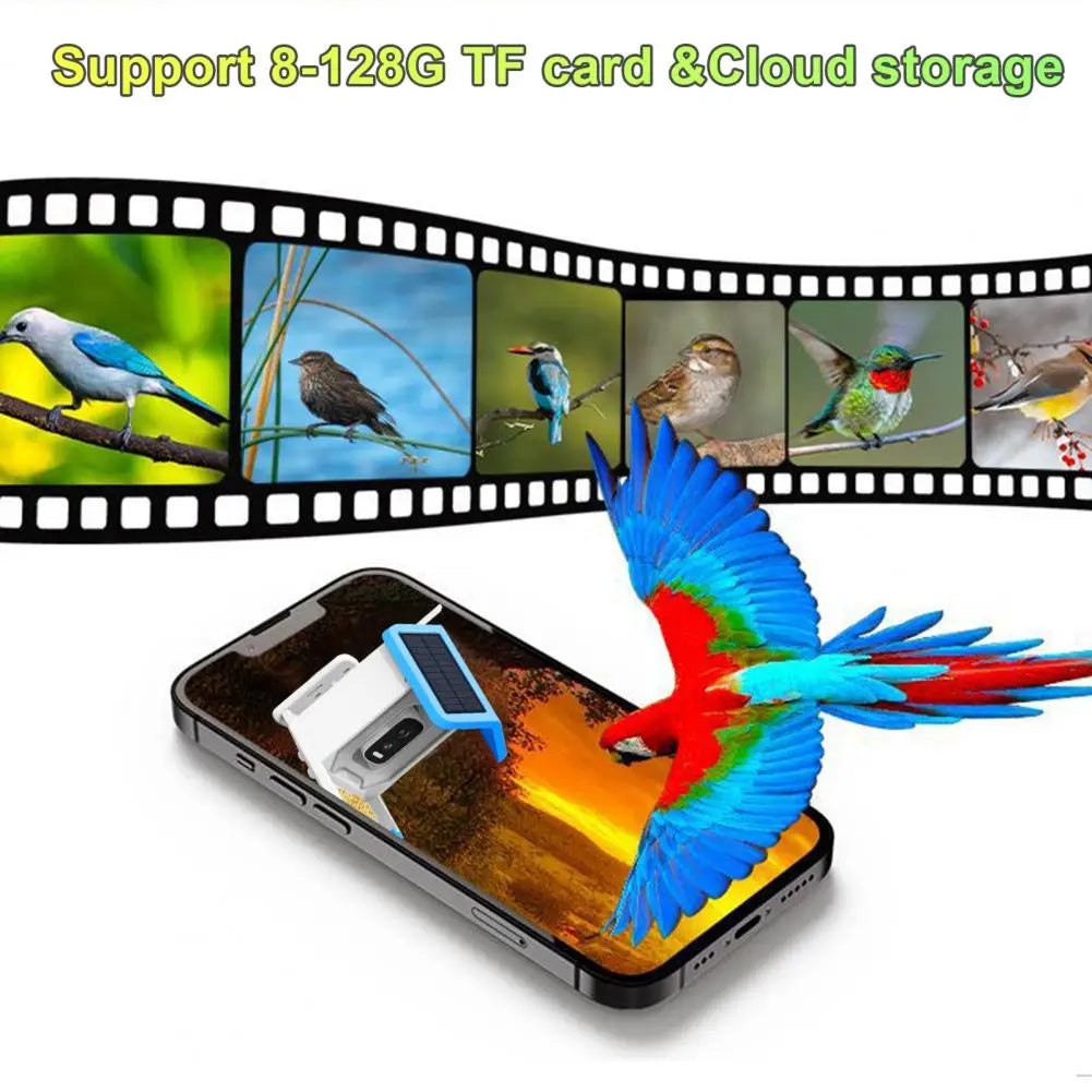 BirdiSpot