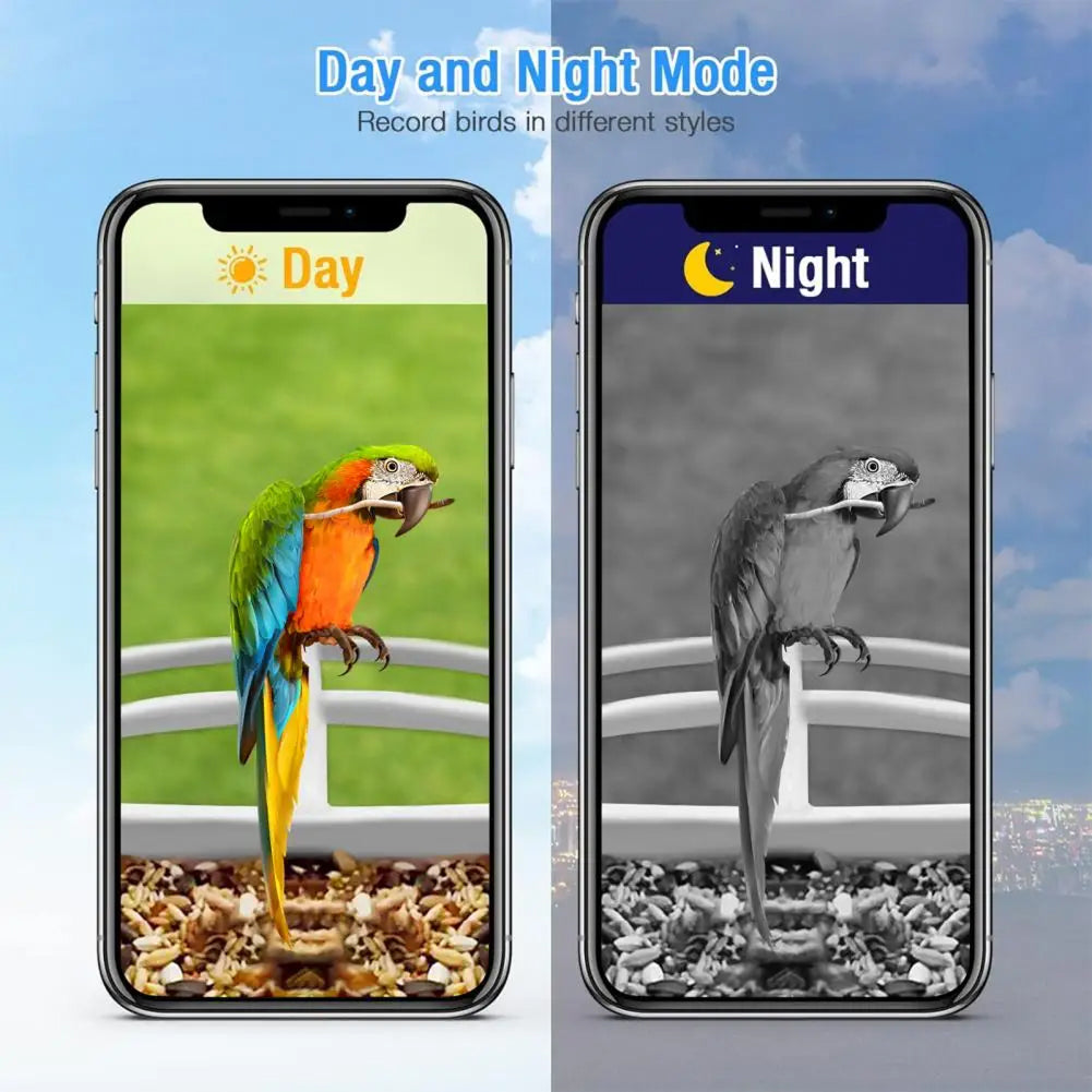 BirdiSpot