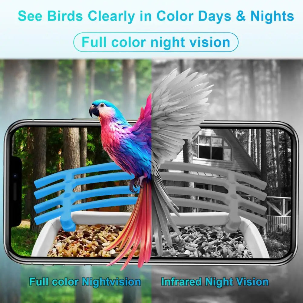 BirdiSpot