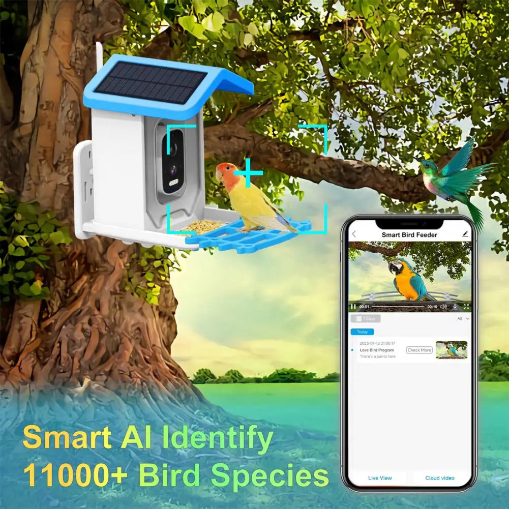 BirdiSpot
