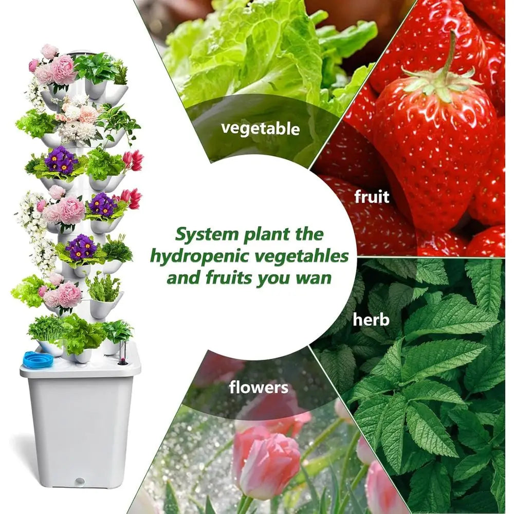 BloomStaki