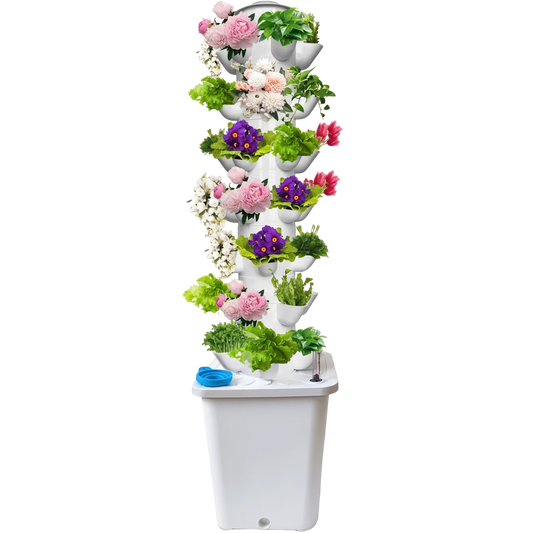 BloomStaki