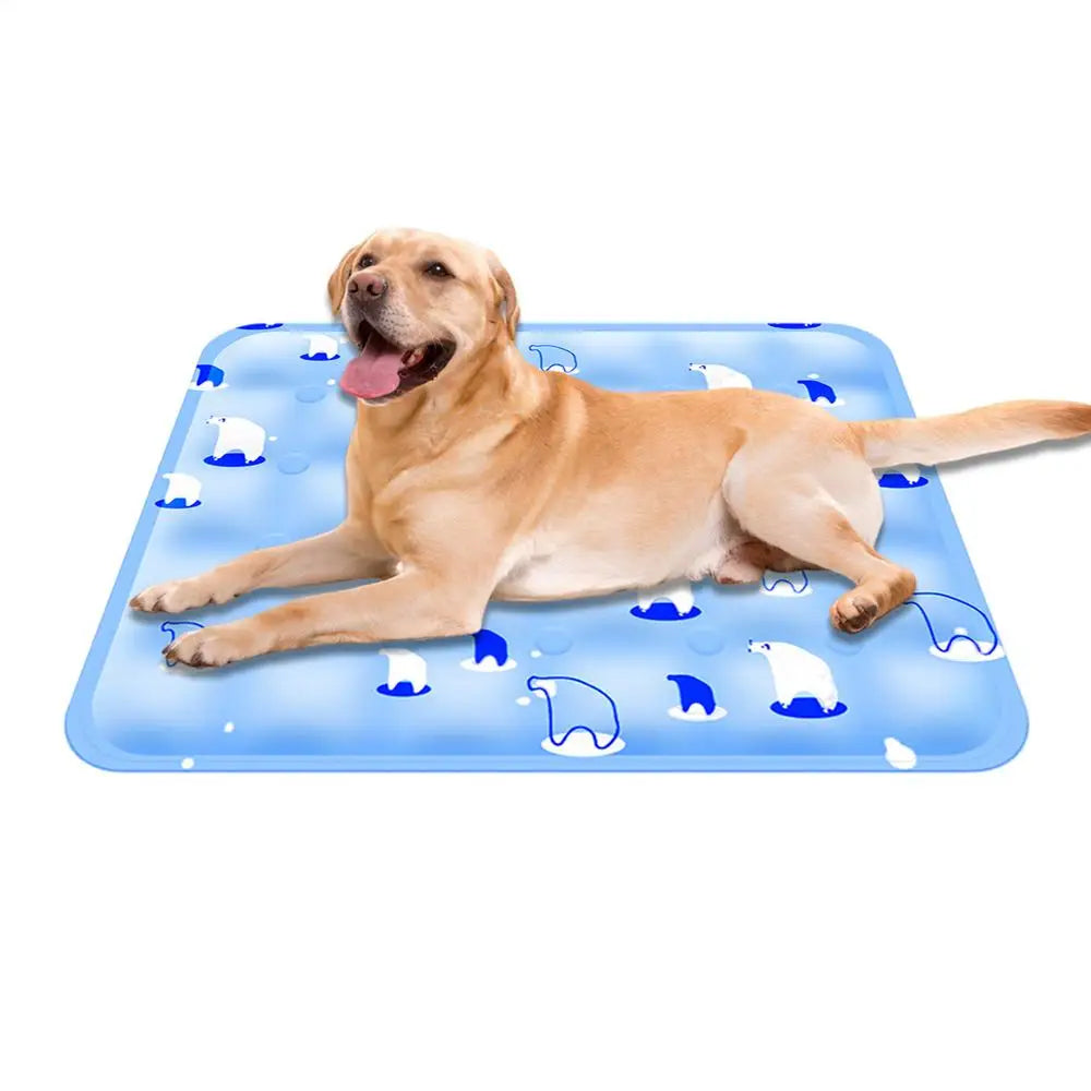 GlaciPup