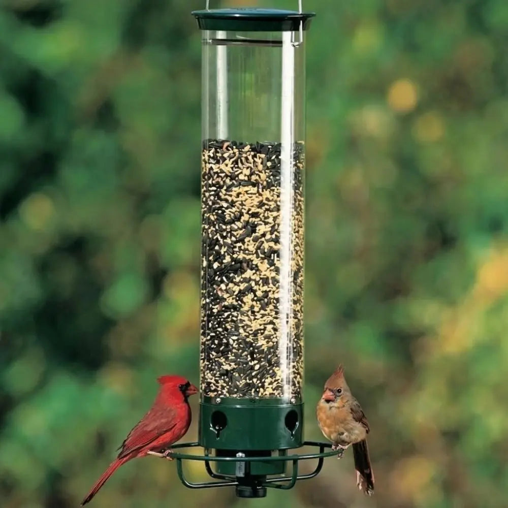 SeedyFeed