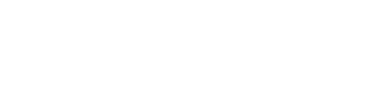 FiniSpec