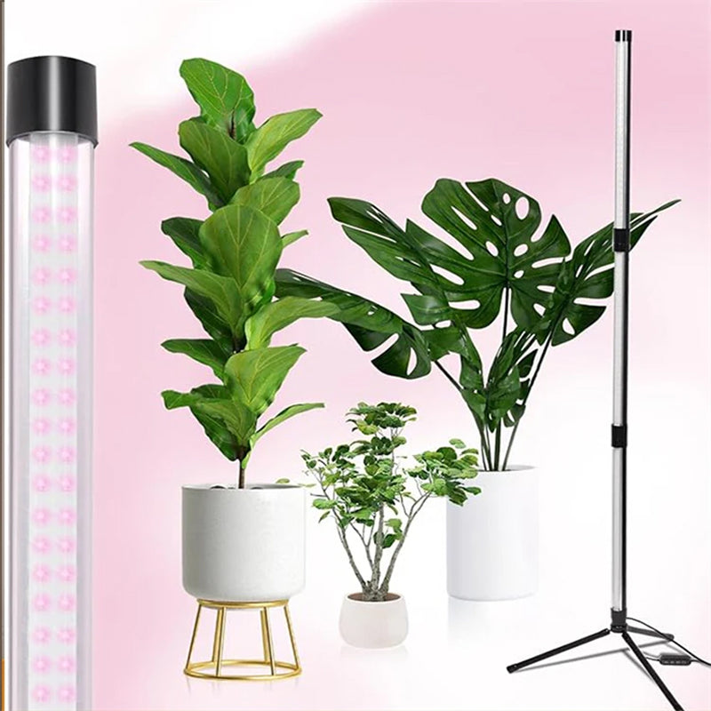 FloraFluxi Grow Lights For Indoor Plants