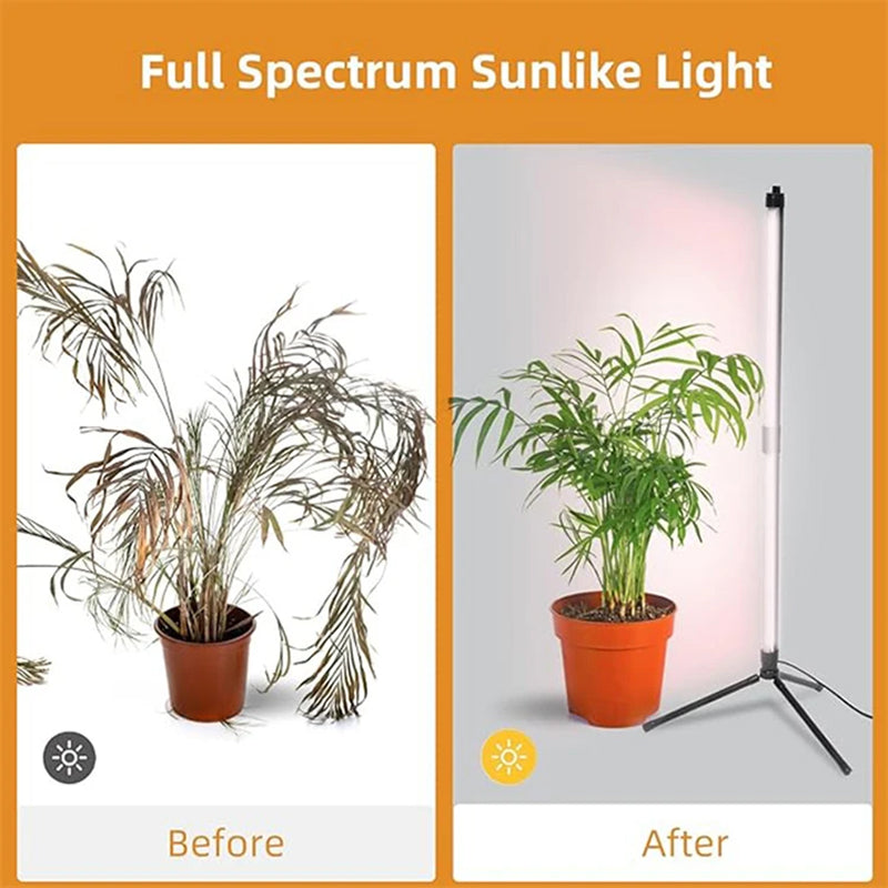 FloraFluxi Grow Lights For Indoor Plants