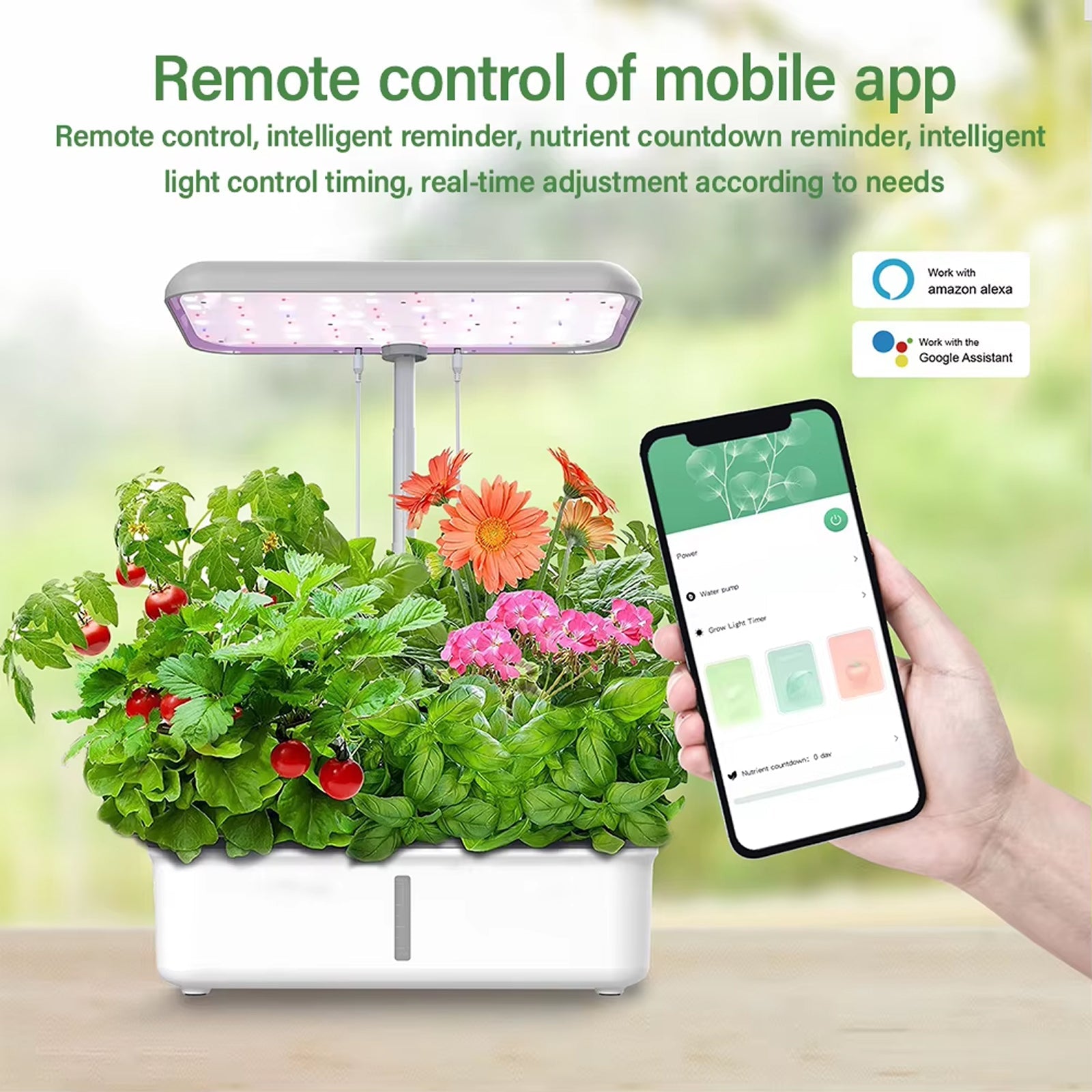 FlowiRoot