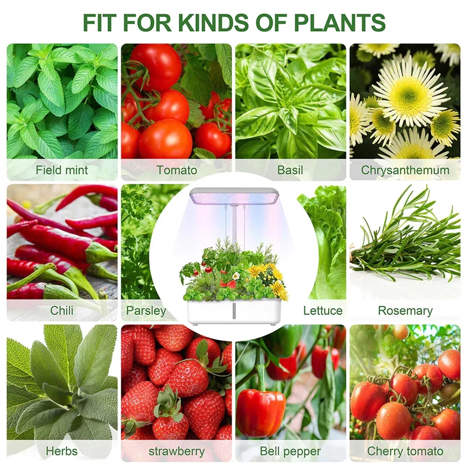 FlowiRoot