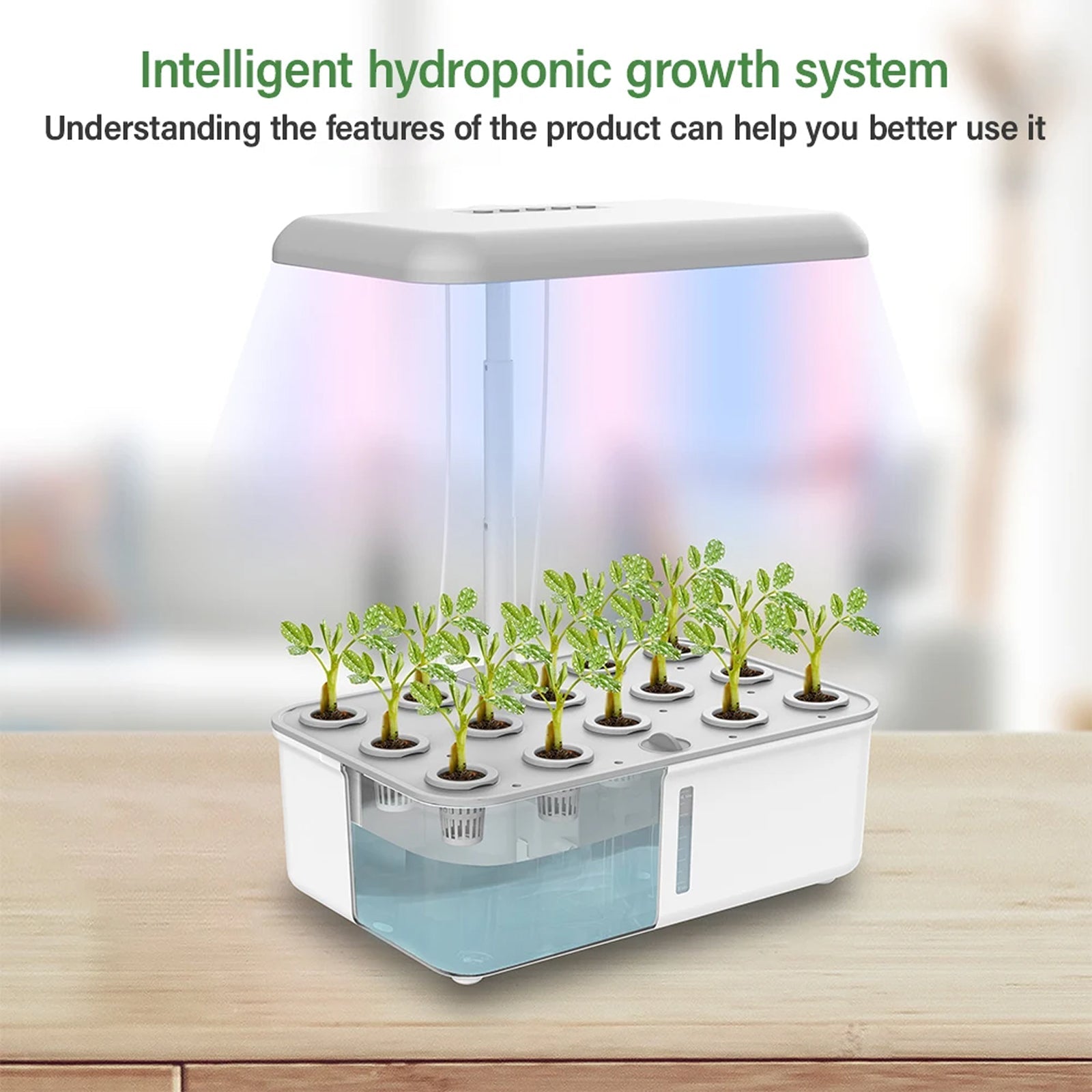 FlowiRoot