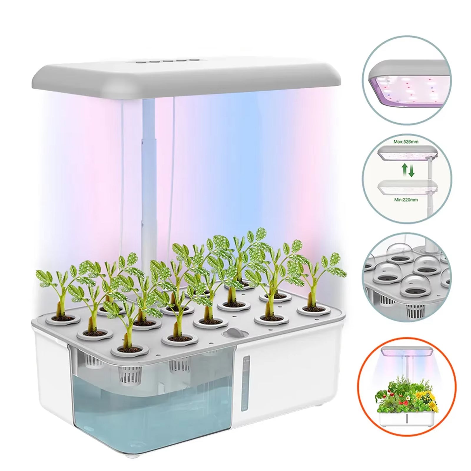 FlowiRoot