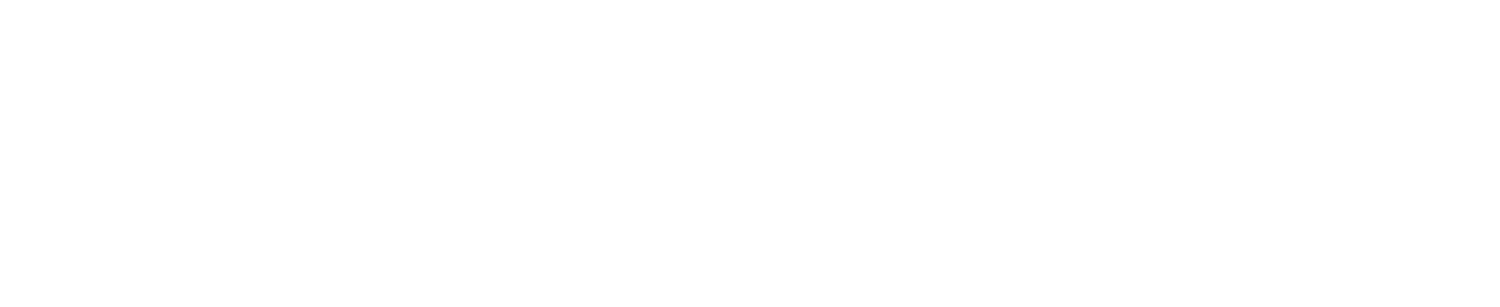 FlyzeeZap