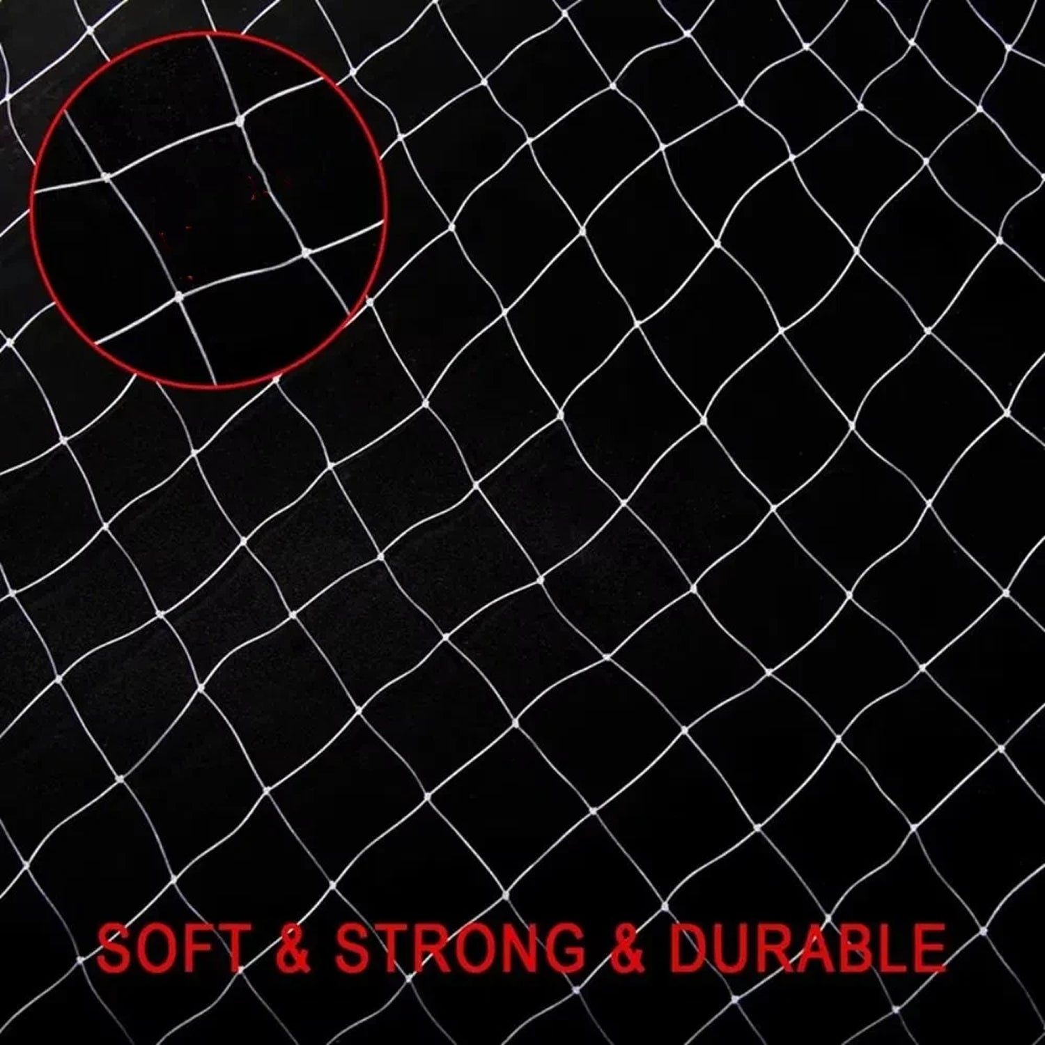 Nestoriax