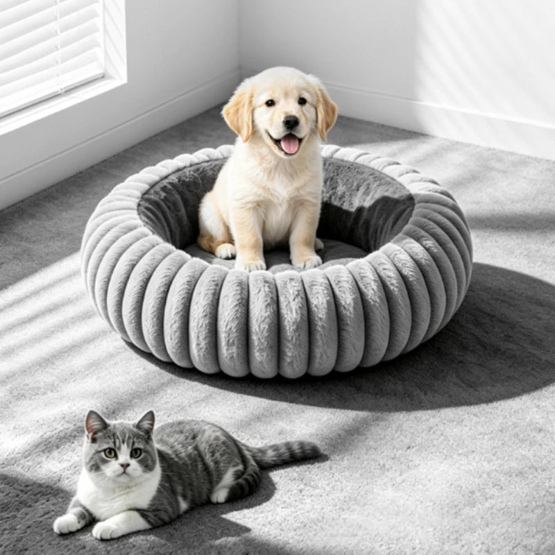 PawCozier