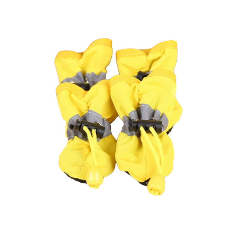 PawiBao
