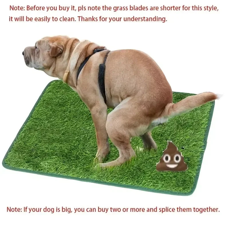 Pooezyk