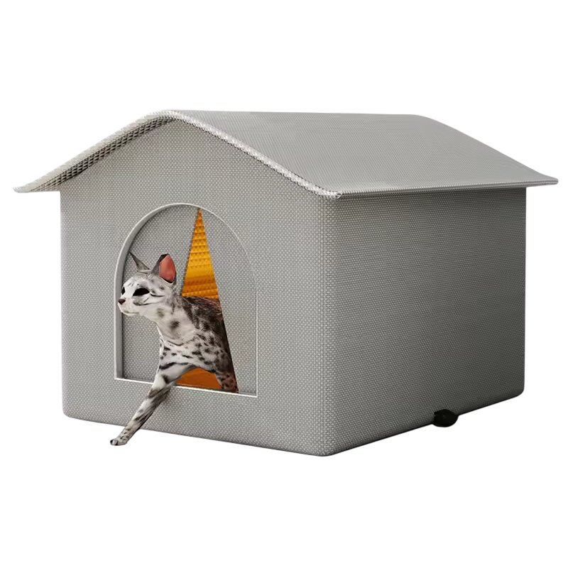 PupyNokie