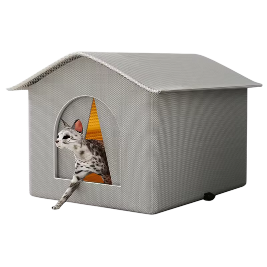 PupyNokie