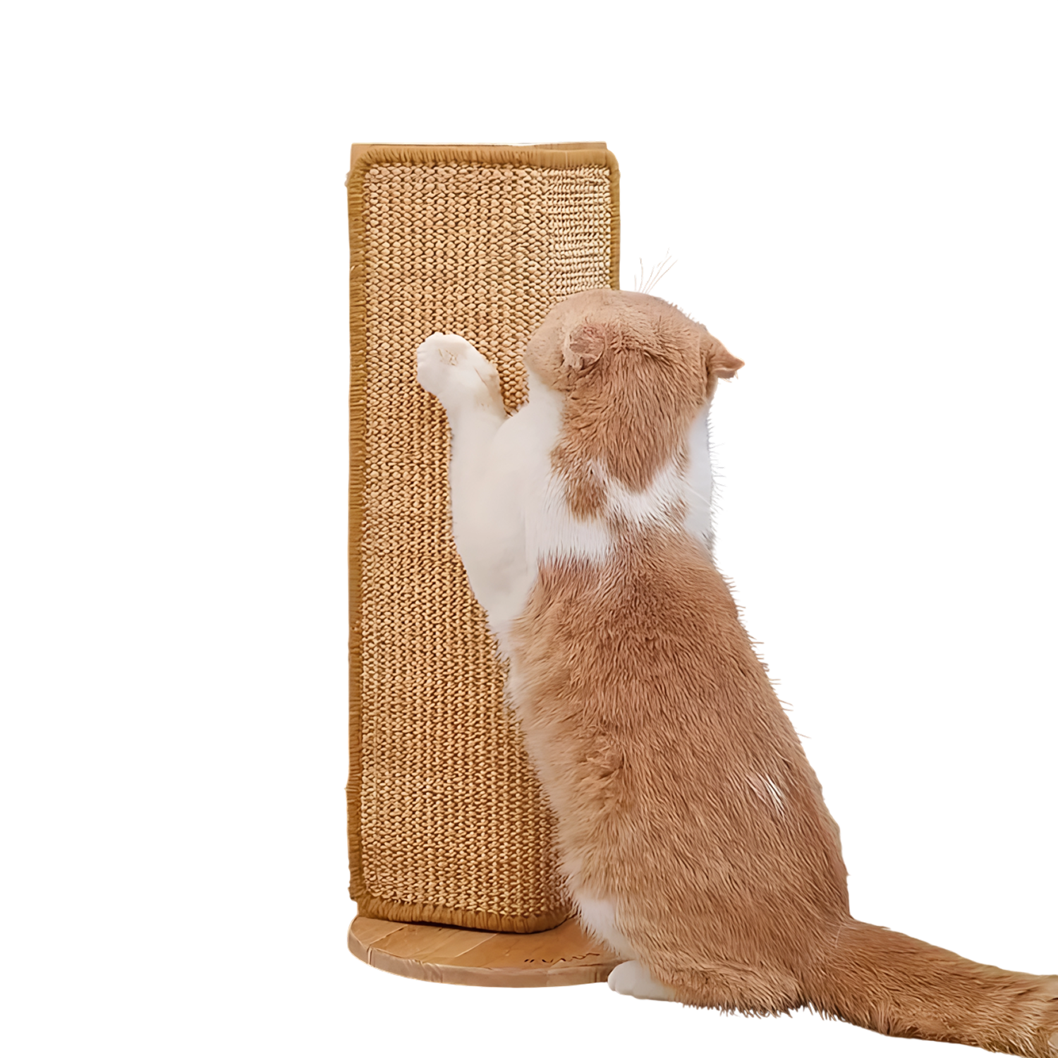 PurrGripo