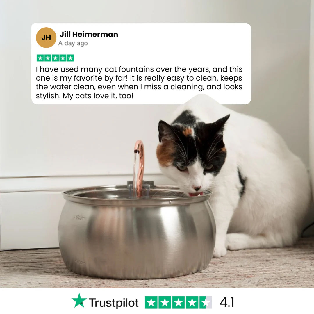 PuryFuryo Pet Water Fountain