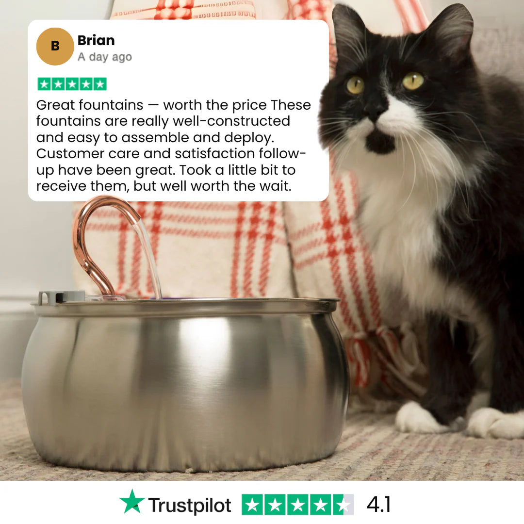 PuryFuryo Pet Water Fountain