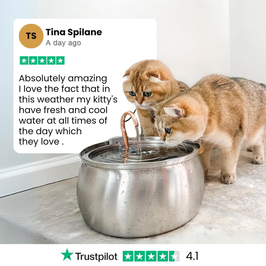 PuryFuryo Pet Water Fountain