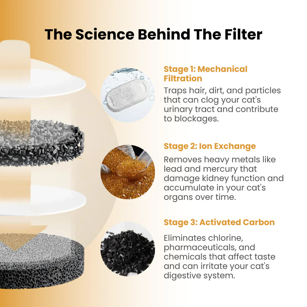 PuryFuryo Pet Water Fountain