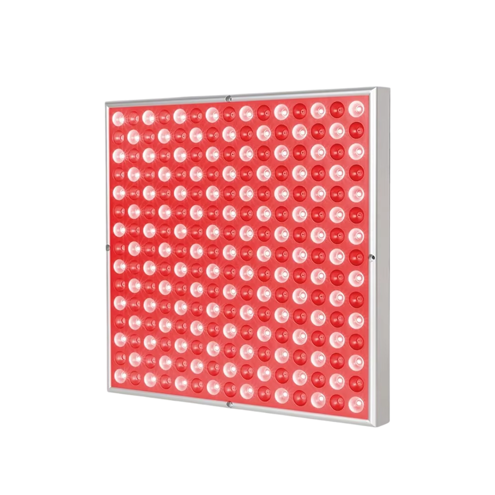 RubyVoxe