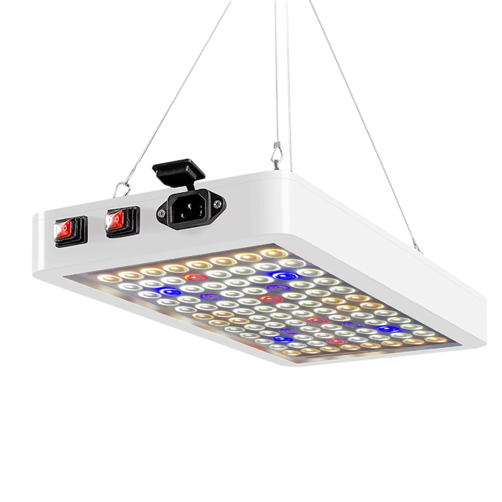 Spetriox