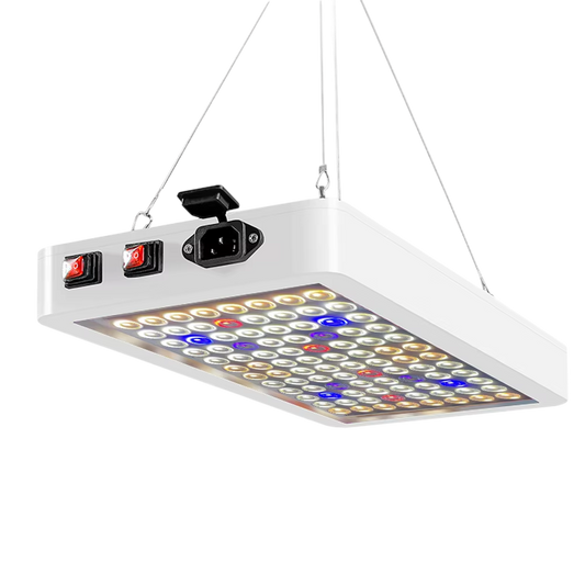 Spetriox