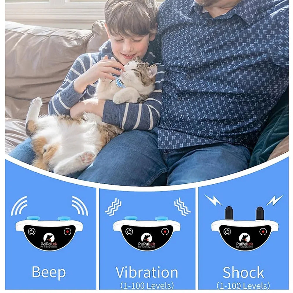 StayePaws